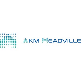 安捷利美维 AKM Meadville 客户 Logo