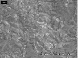 普通微蚀后铜面 SEM 形貌。